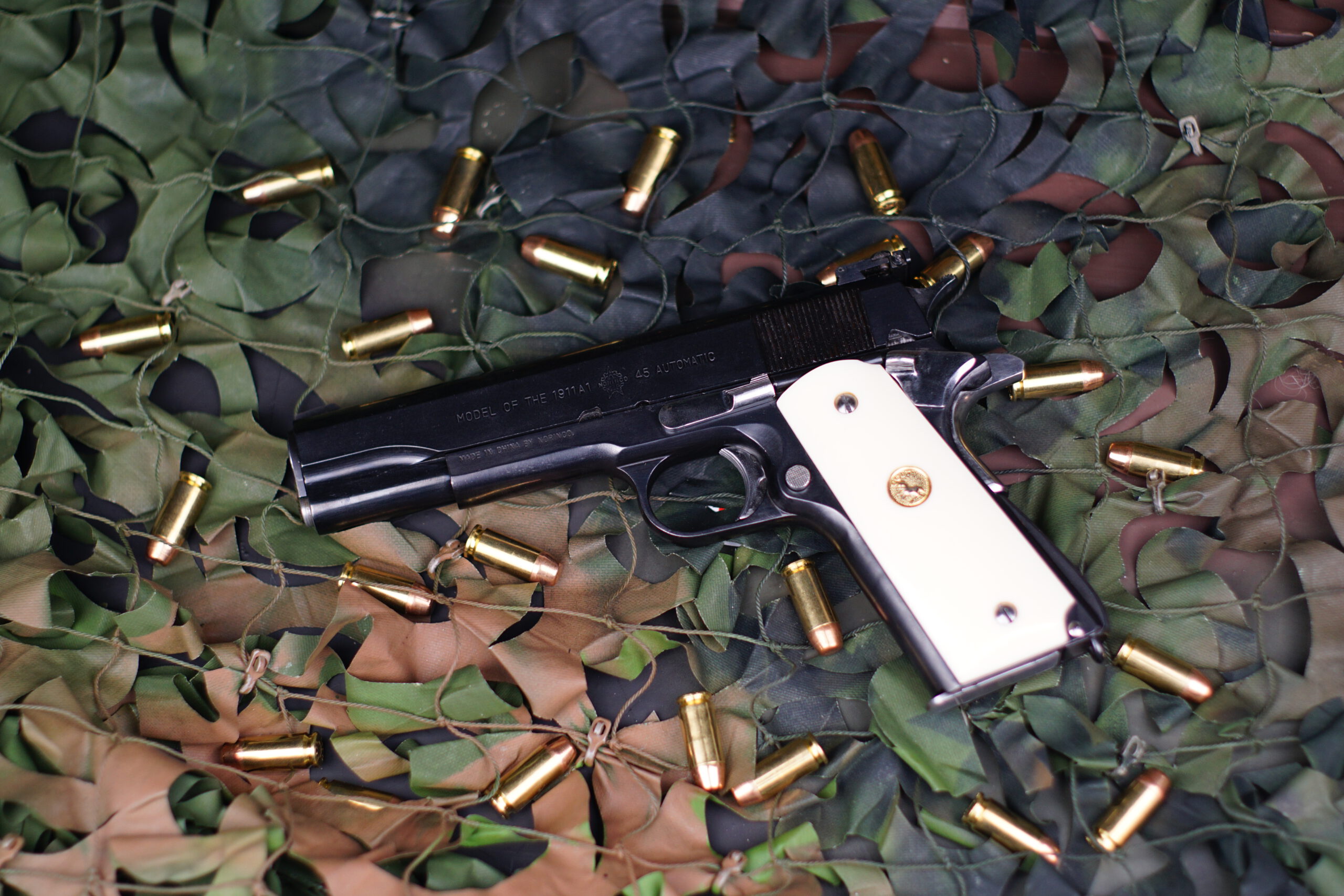Colt 1911 Government